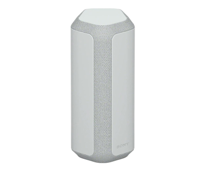 Głośnik bluetooth SONY SRS-XE300H Szary